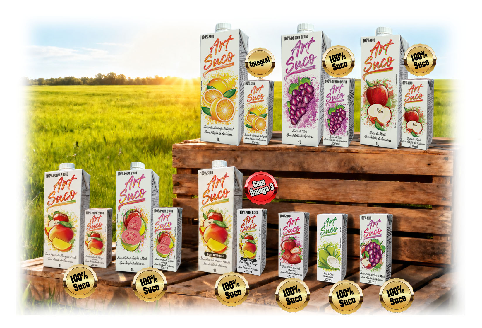 Produtos Cartonados ArtSuco